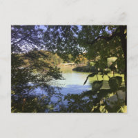 Central Park Lake New York City NYC Photo Postcard