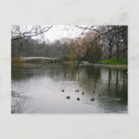 Central Park Lake NYC New York City Postcard