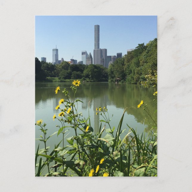 Central Park Lake NYC Skyscraper Photo Postcard (Front)