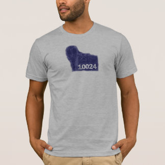 Central Park Lamp Post in 10024 zipcode T-Shirt