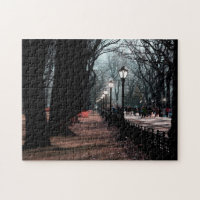 Central Park Landscape Lampposts Photo
