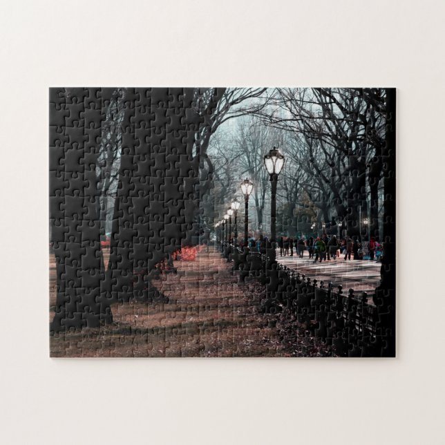 Central Park Landscape Lampposts Photo Jigsaw Puzzle (Horizontal)