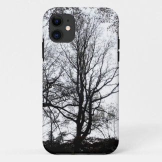 Central Park late autumn almost Barren Tree B&W Case-Mate iPhone Case