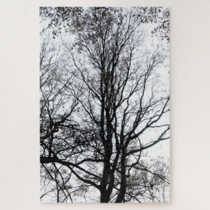 Central Park late autumn almost Barren Tree B&W Jigsaw Puzzle