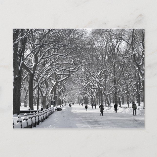 Central Park Mall B&W Postcard (Front)