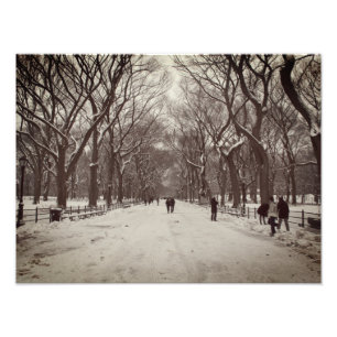 Central Park Mall Photo Print