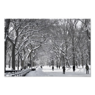 Central Park Mall Winter Scene Photo Print