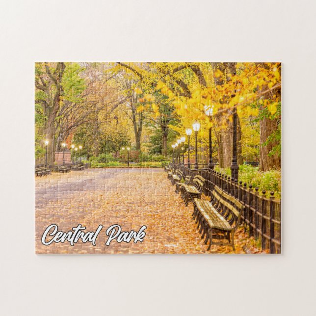 Central Park, Manhattan, New York, USA Jigsaw Puzzle (Horizontal)
