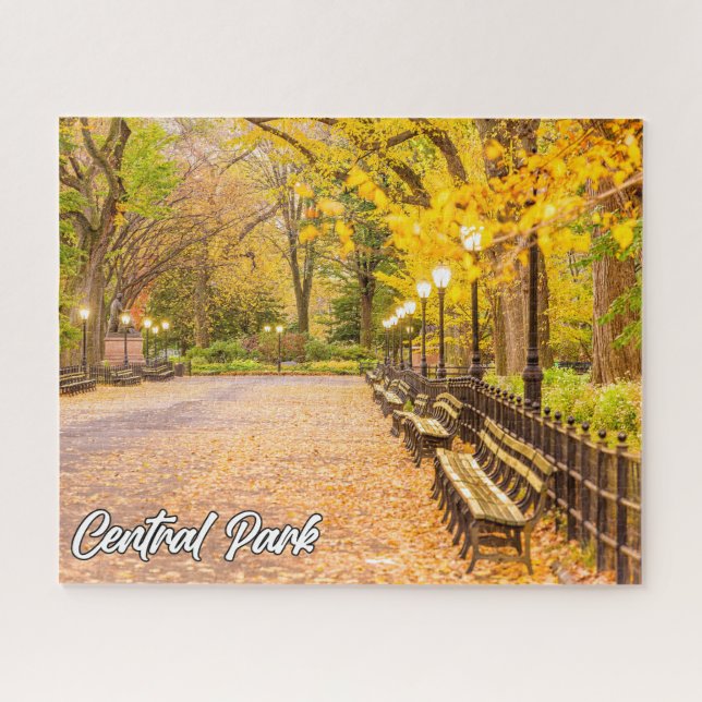 Central Park, Manhattan, New York, USA Jigsaw Puzzle (Horizontal)