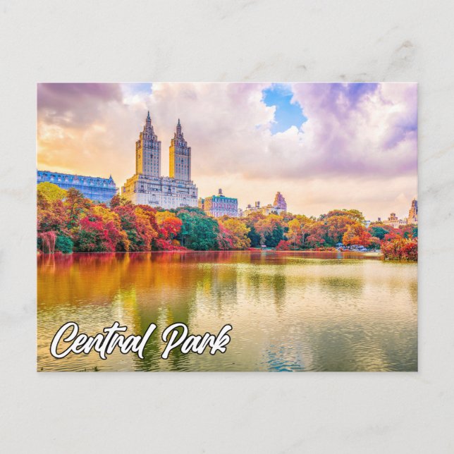Central Park, Manhattan, New York, USA Postcard (Front)