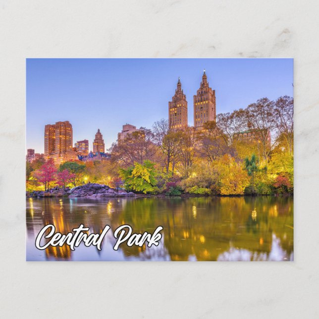 Central Park, Manhattan, New York, USA Postcard (Front)