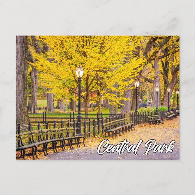 Central Park, Manhattan, New York, USA Postcard (Front)