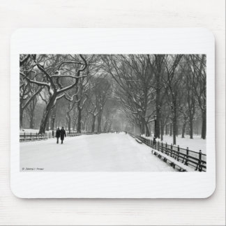 Central Park Mouse Pad