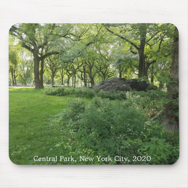 Central Park Nature New York City Trees Mousepad (Front)