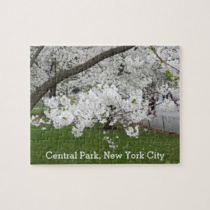 Central Park New York Blossoming Tree in Spring Jigsaw Puzzle