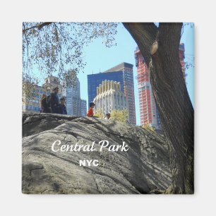 Central Park, New York City Magnet