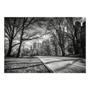 Central Park, New York City Photo Print