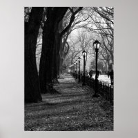 Central Park, New York City