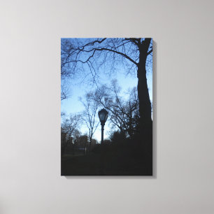 Central Park, New York City, USA Canvas Print
