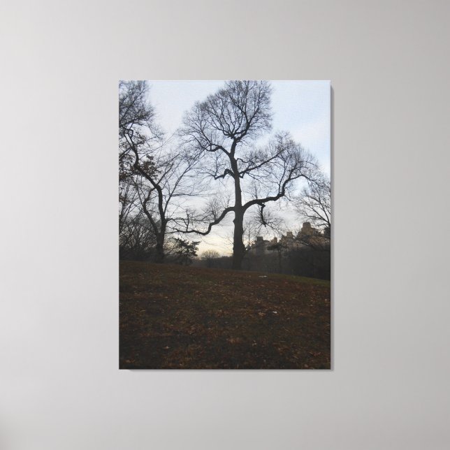 Central Park, New York City, USA Canvas Print (Front)
