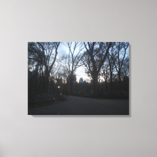 Central Park, New York City, USA Canvas Print