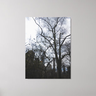Central Park, New York City, USA Canvas Print