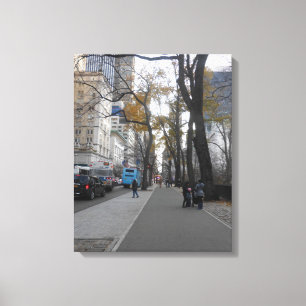Central Park, New York City, USA Canvas Print