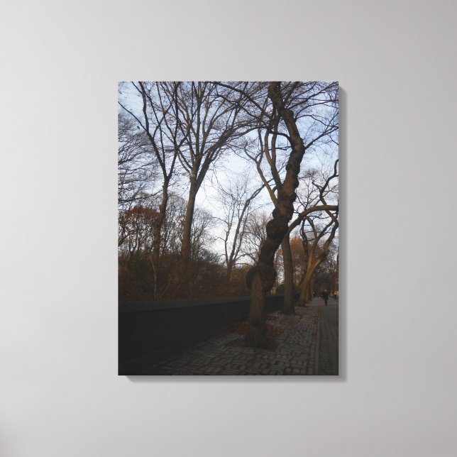 Central Park, New York City, USA Canvas Print (Front)