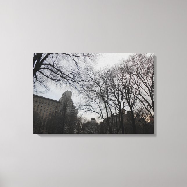 Central Park, New York City, USA Canvas Print (Front)