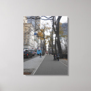 Central Park, New York City, USA Canvas Print