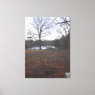 Central Park, New York City, USA Canvas Print