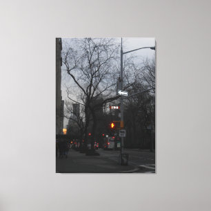 Central Park, New York City, USA Canvas Print