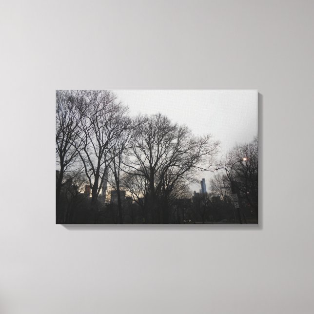 Central Park, New York City, USA Canvas Print (Front)