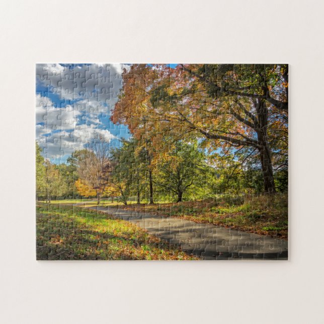 Central Park New York Jigsaw Puzzle (Horizontal)