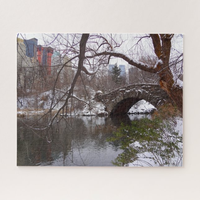 Central Park New York. Jigsaw Puzzle (Horizontal)