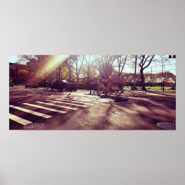 CENTRAL PARK NEW YORK  POSTER (Front)