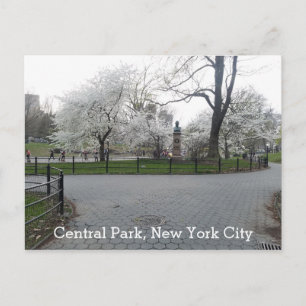 Central Park New York Springtime Path with Trees Postcard