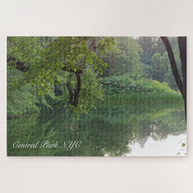 Central Park New York Turtle Pond in Summer Jigsaw Puzzle (Horizontal)