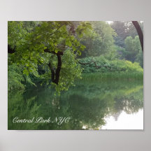 Central Park New York Turtle Pond in Summer