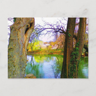 Central Park, NY Postcard