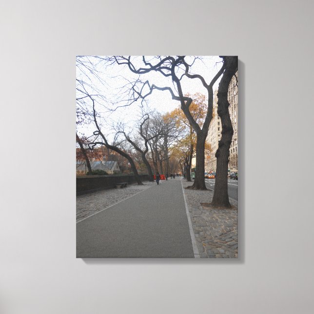 Central Park. NYC Canvas Print (Front)