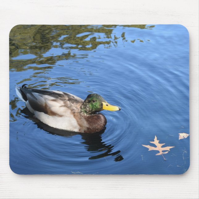 Central Park NYC Conservatory Water Mallard Duck Mouse Pad (Front)