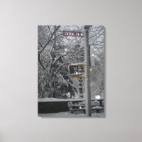Central Park NYC New York City Winter Snow Photo