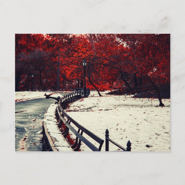 Central Park, NYC Postcard (Front)