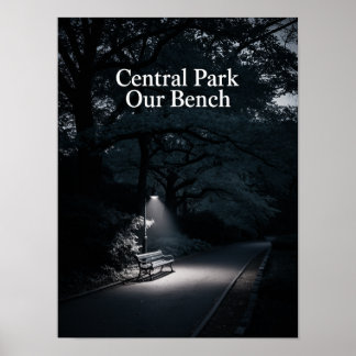 Central Park Our Bench Night Photography Poster