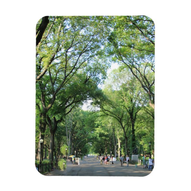 Central Park: Poet's Walk in the Summer Magnet (Vertical)