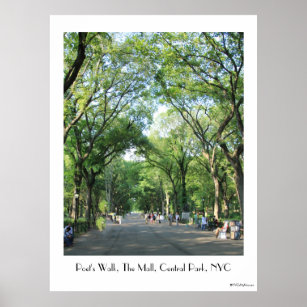 Central Park: Poet's Walk in the Summer Poster