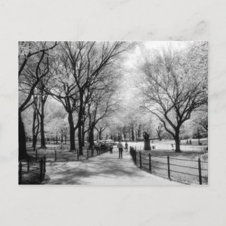 Central Park postcards