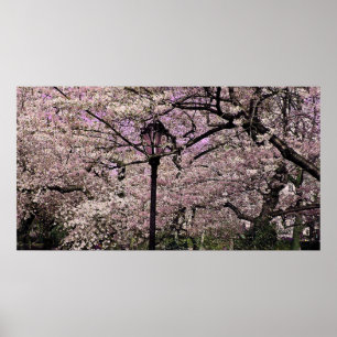 Central Park Poster
