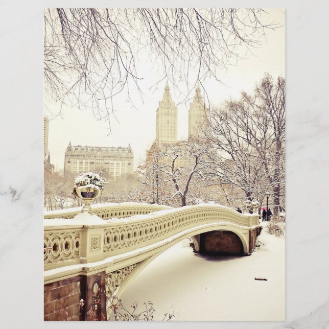 Central Park Snow - Winter New York (Front)